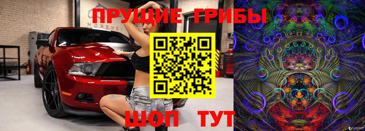 Псилоцибиновые грибы мухоморы Алексин