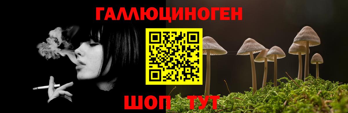 Алексин  Псилоцибиновые грибы прущие грибы  даркнет сайт  Вход с VPN 